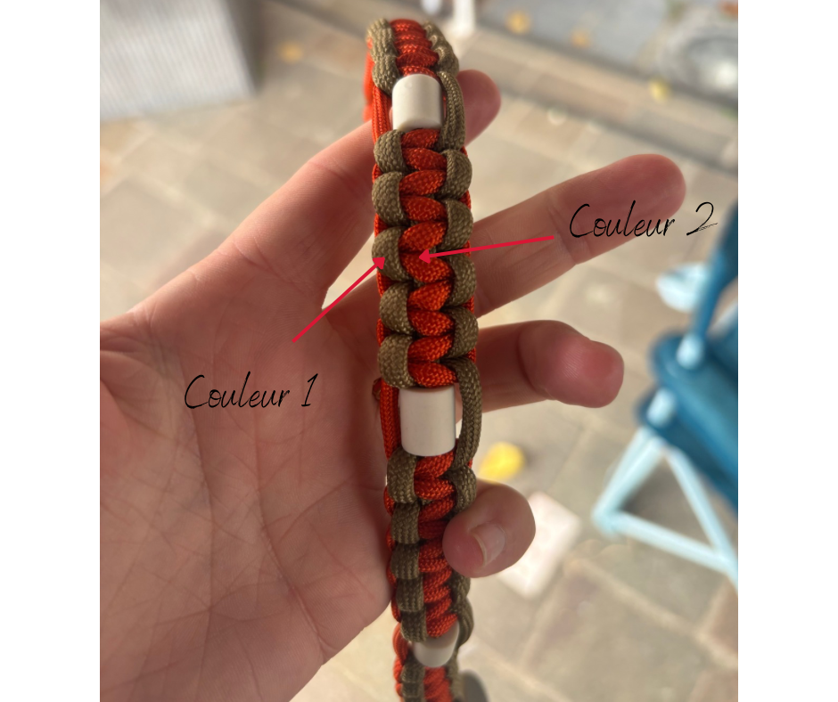 Collier Anti-Tiques Tikalya
