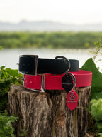 Collier Colorwaves