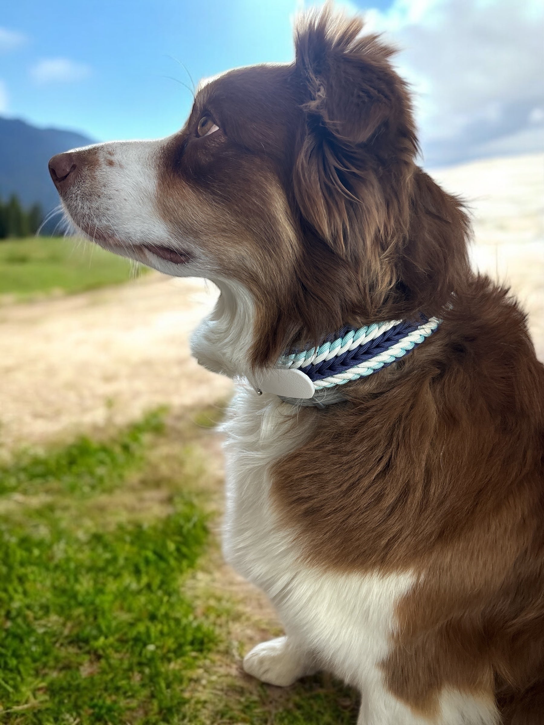 Collier Navire