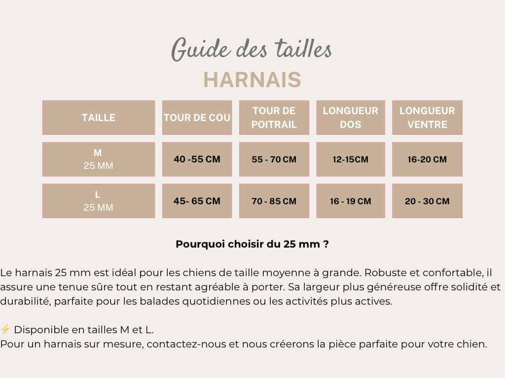 Harnais noir 25mm