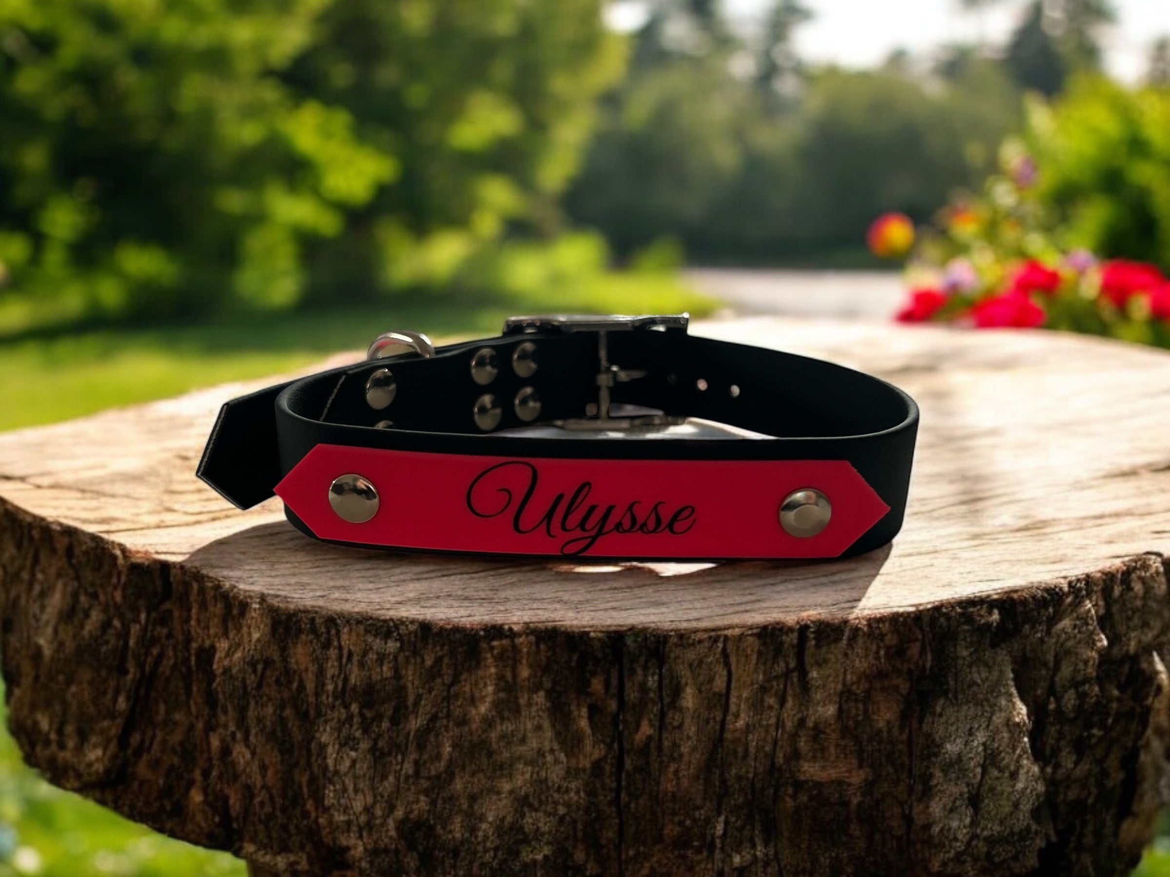 Collier Sweetie – Personnalisable avec le prénom de votre chien