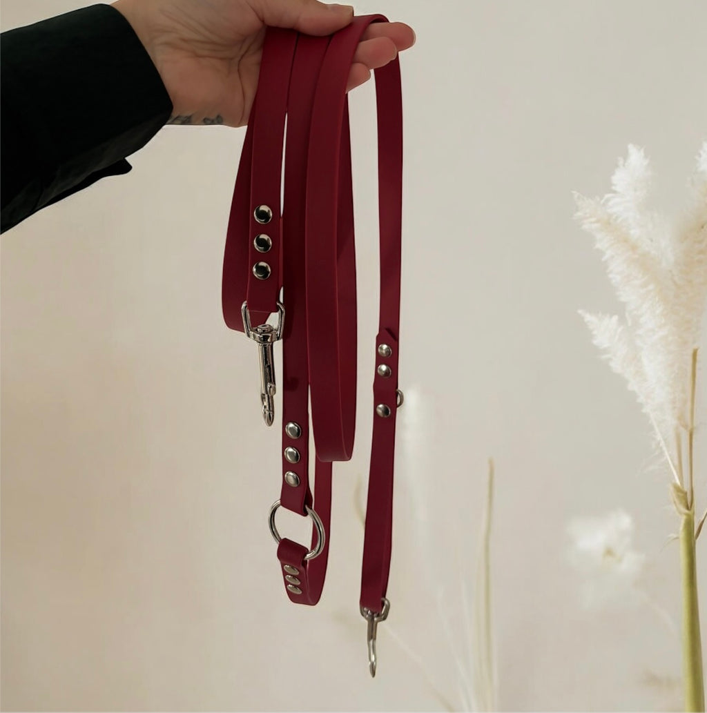 Laisse Multi-Positions 16mm- Vin