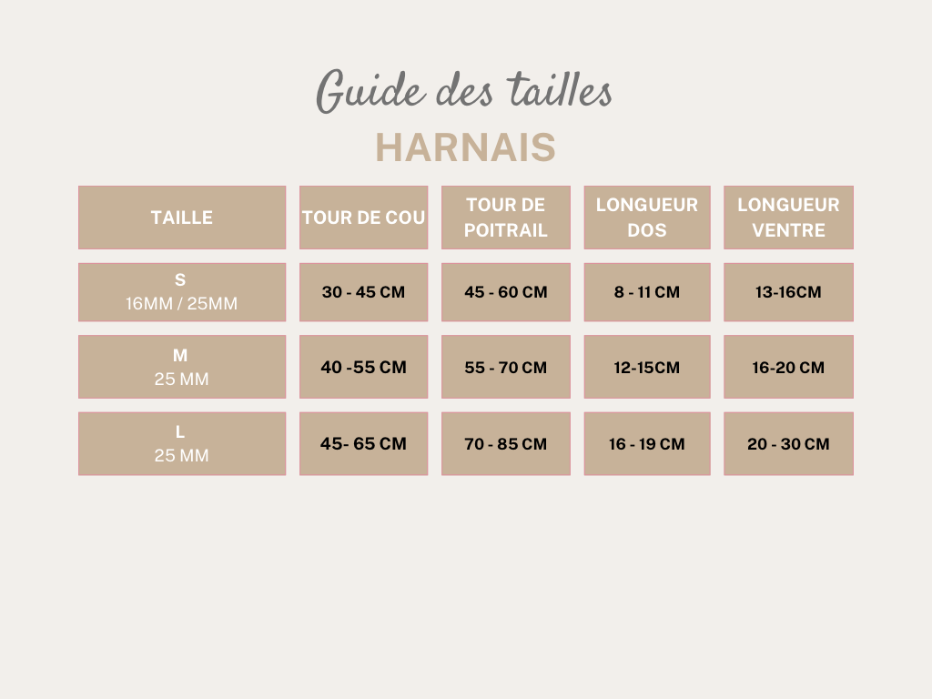 Harnais 25mm