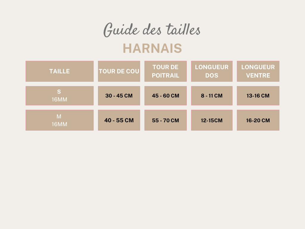 Harnais 16mm