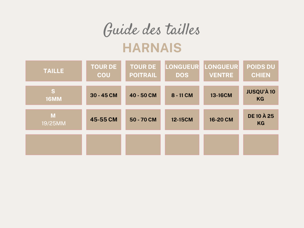 Harnais 19 mm