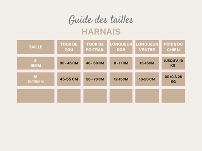Harnais 19 mm
