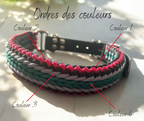 Collier Pawracord