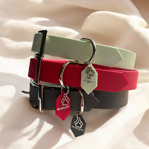 Collier Colorwaves en biothane