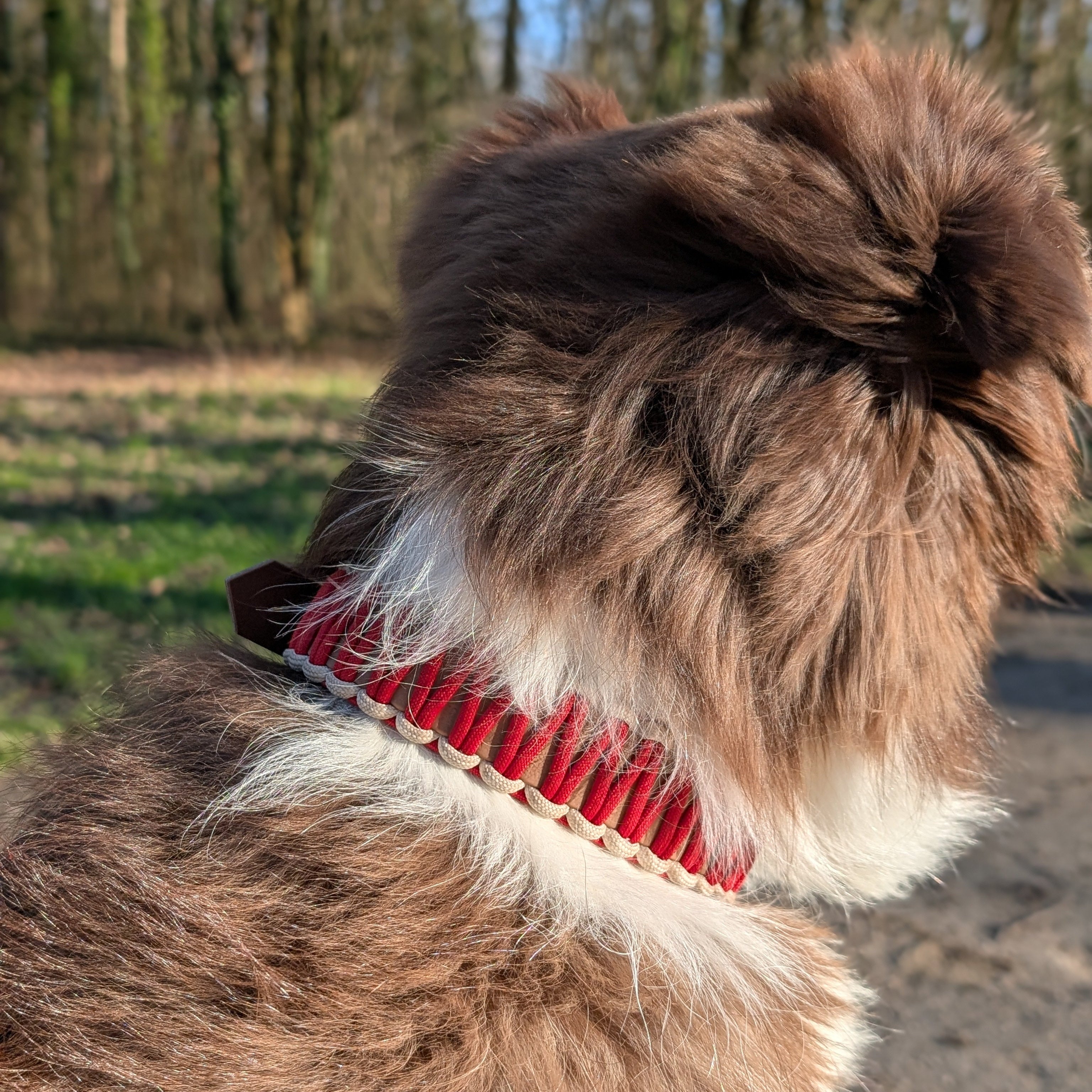 Collier Elite rouge et marron