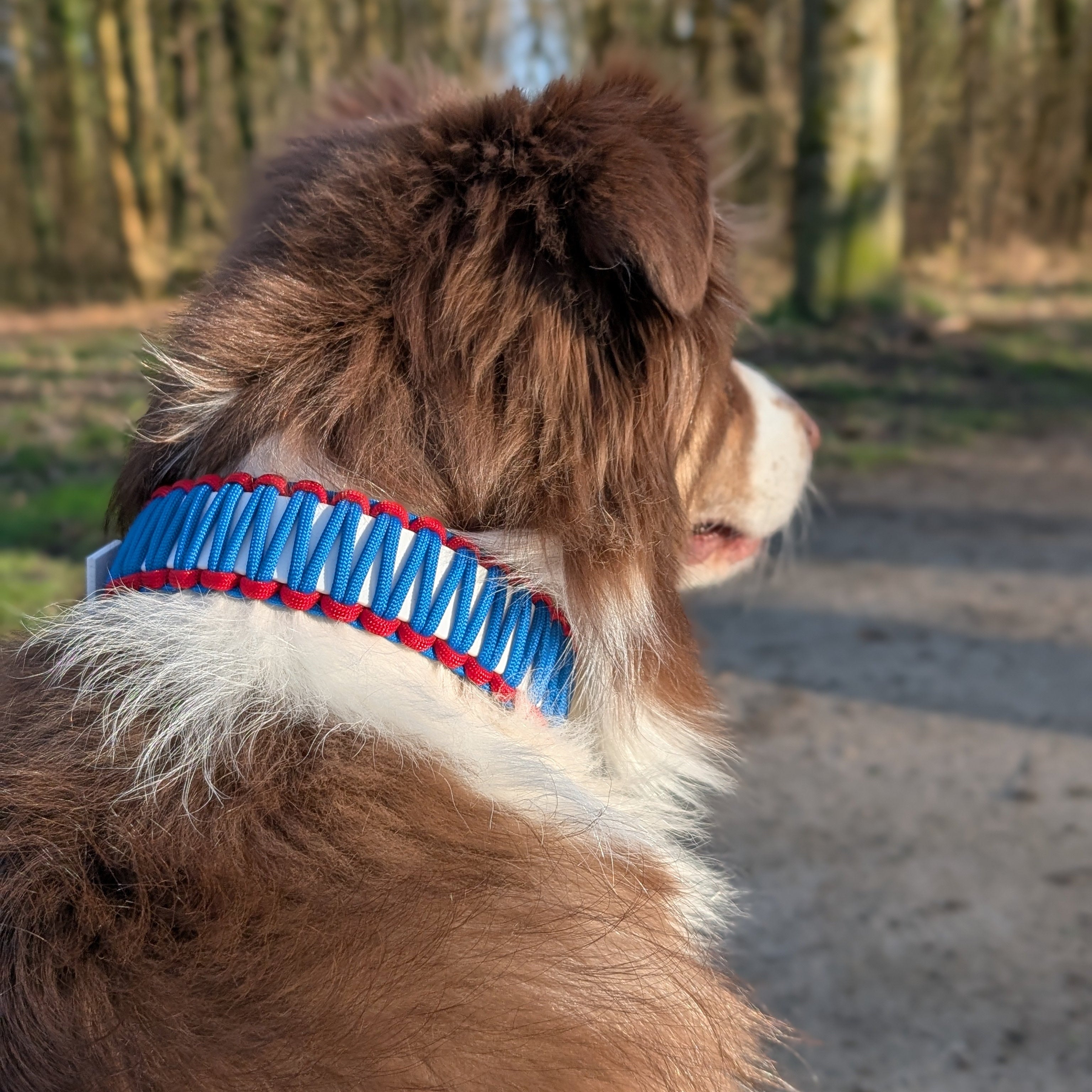 Collier élite bleu blanc rouge en biothane
