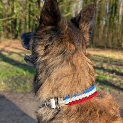 Collier wolf en paracorde bleu blanc rouge