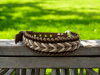 Collier Pawcraft